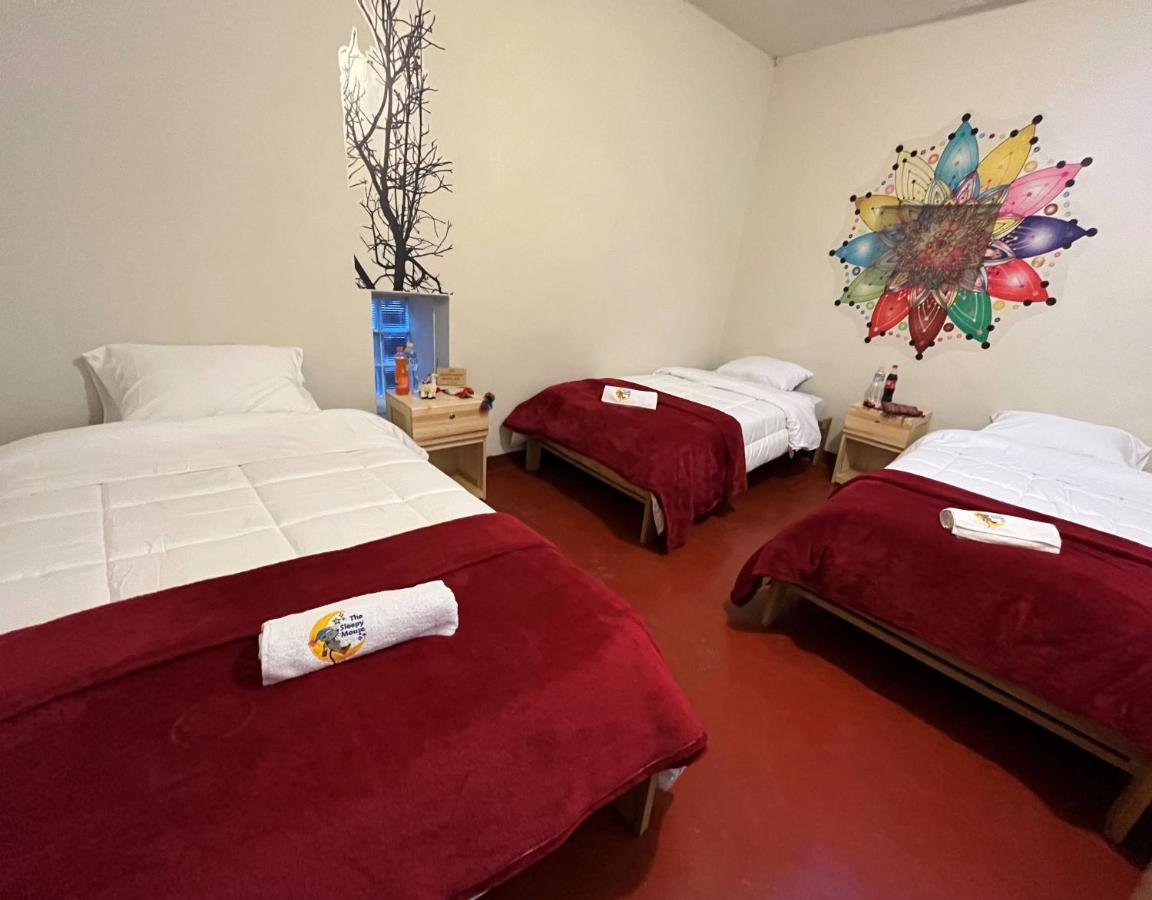 Auberge de jeunesse The Sleepy Mouse à Cusco Extérieur photo